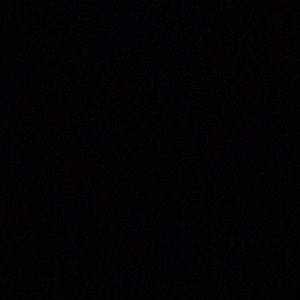 Meet your Posher, Baylie